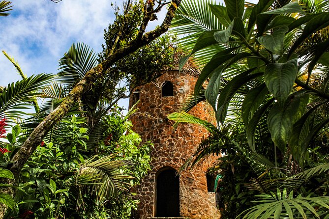 Half Day Adventure Private Tour in El Yunque Rainforest - Pickup Information
