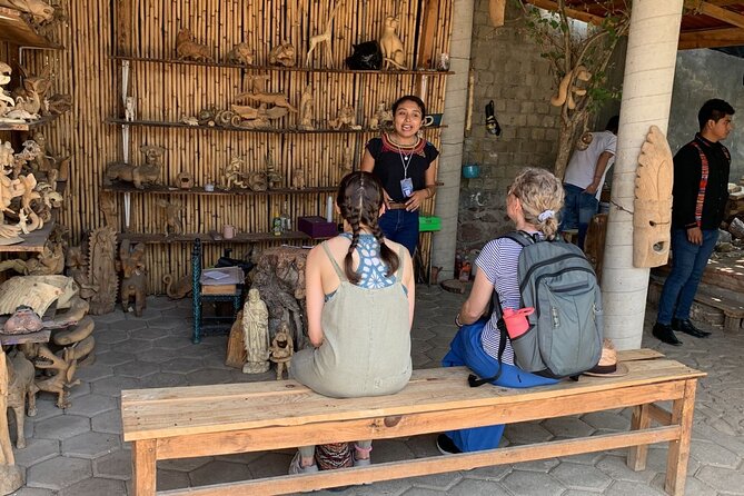Half-Day Alebrijes Carving and Painting Workshop in San Martin From Oaxaca - Shopping for Local Artisan Alebrijes