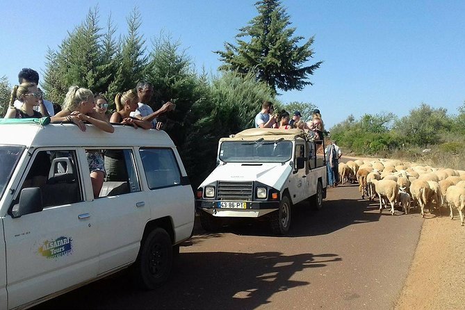 Half-Day Algarve Countryside and Villages Jeep Safari - Cork Manufacturing Process
