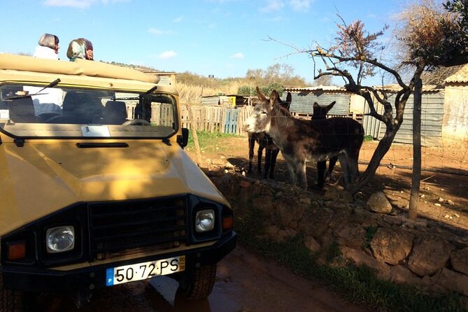 Half-Day Algarve Jeep Safari Sunset Tour - Unique Algarve Experience