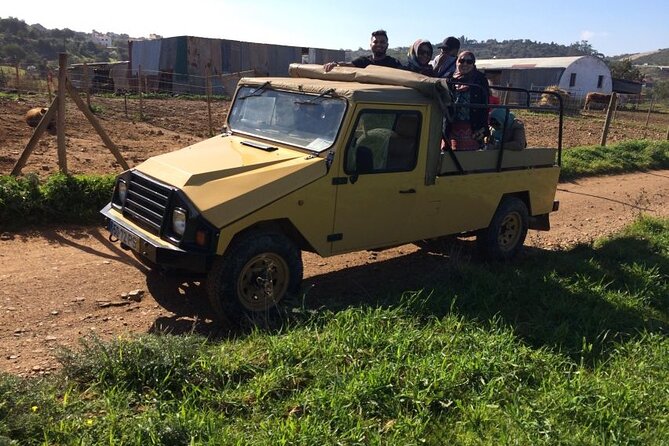 Half-Day Algarve Jeep Safari Sunset Tour - Scenic Views and Cultural Insights