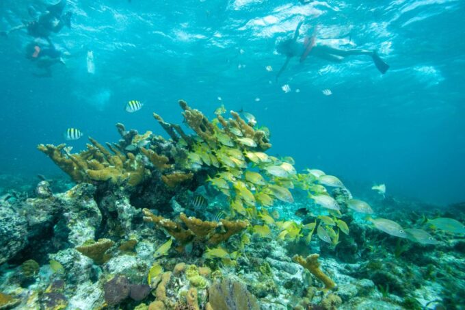 Half-Day All-Inclusive Private Catamaran Isla Mujeres - Departure Locations
