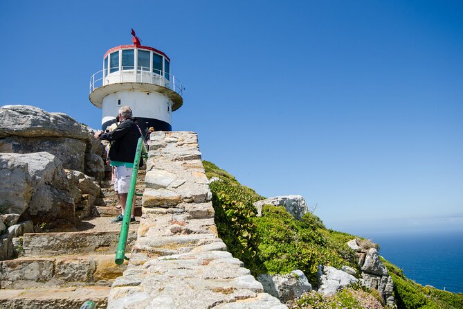 Half Day Am or Pm Boulders Beach & Penguins With Visit to Cape Point Great Tour - Tour Itinerary