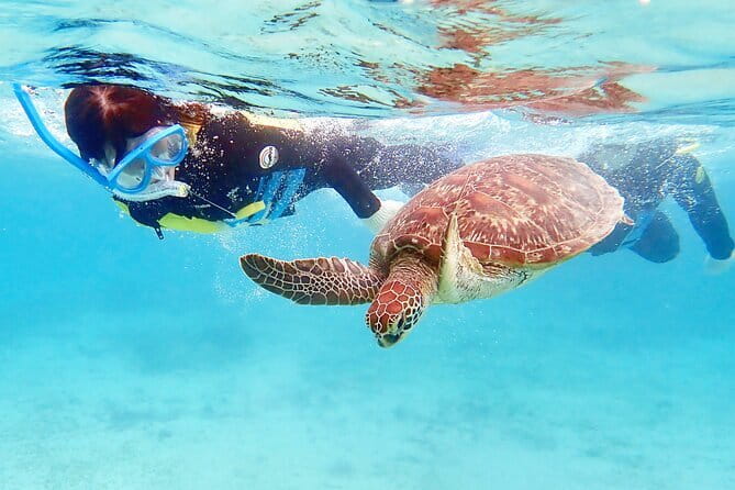 Half Day Amami Japan Boat Snorkeling Adventure - Snorkeling in the Crystal Clear Waters