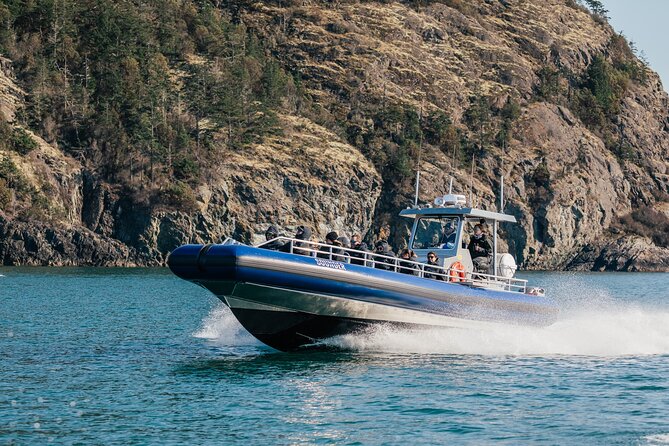 Half-Day Anacortes Whale and Wildlife Watching Guided Adventure - Traveler Reviews