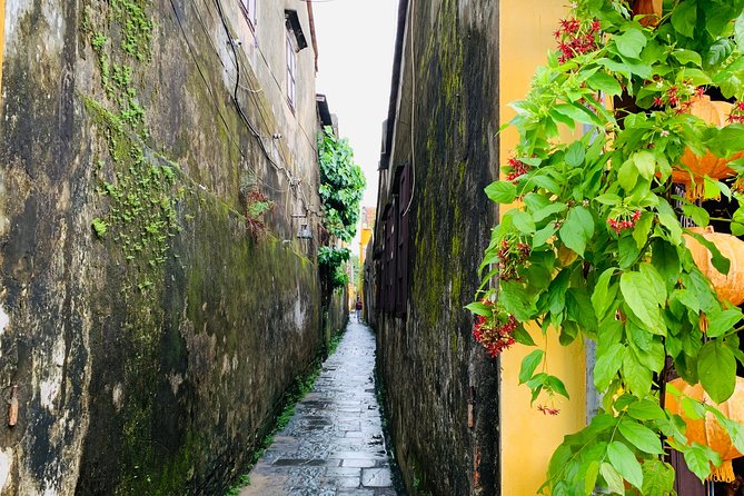 Half-day Ancient Hoi An Walking Tour - Accessibility