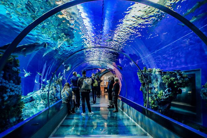 Half Day Antalya Aquarium Tour And Wax Museum - Accessibility and Additional Information