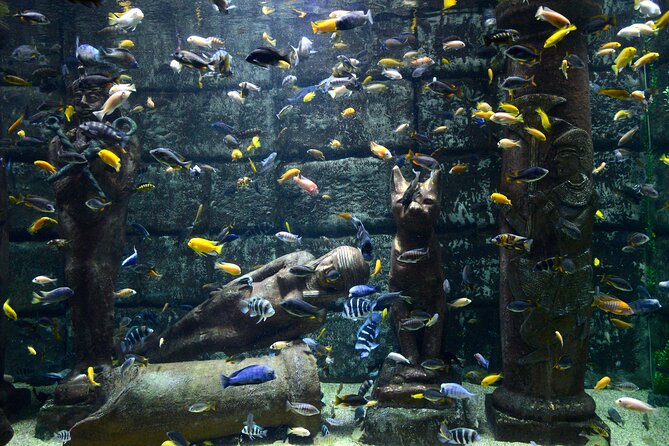 Half Day Antalya Aquarium Tour And Wax Museum - Booking Options