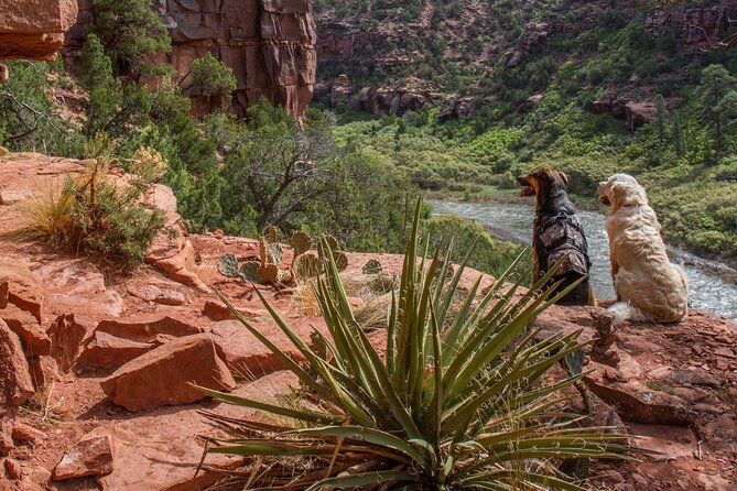 Half-Day Arkansas River - The Numbers Rafting Tour - Minimum Age and Fitness Requirements