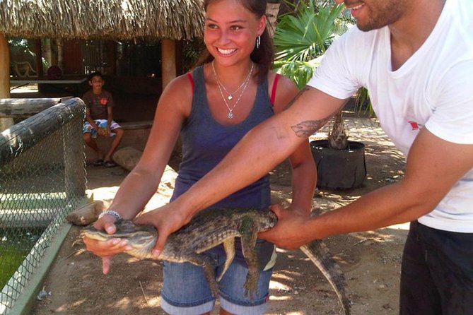 Half-Day Aruba Animal Sanctuary Guided Tour - Additional Information