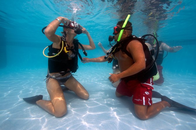Half-Day Aruba Intro Diving Course for Beginners - Course Overview