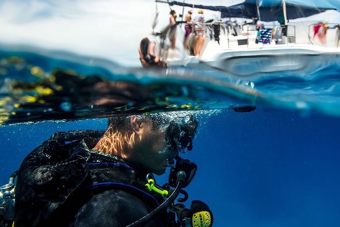 Half-Day Aruba Intro Diving Course for Beginners - Equipped With Basics
