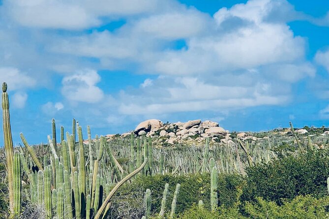 Half-Day Aruba UTV Adventure Tour - Pickup and Dropoff Details