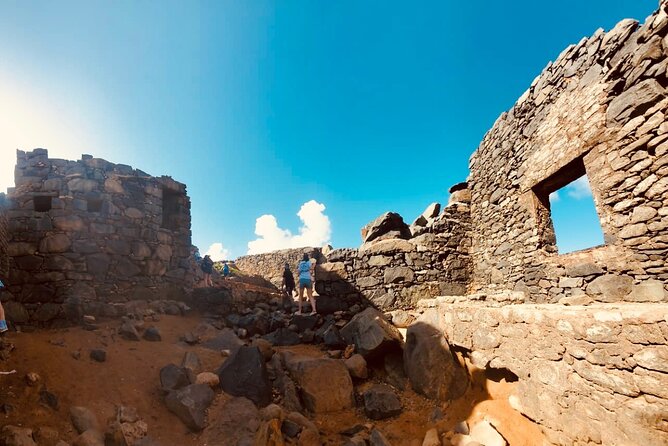 Half-Day Aruba UTV Adventure Tour - Customer Feedback and Reviews