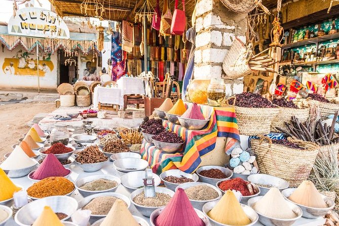 Half-Day Aswan Nubian Village Private Motorboat Tour - Traveler Experiences and Reviews