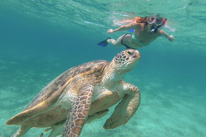 Half-Day at Green Cay Bahamas Snorkeling With Turtles - Group Size and Pricing