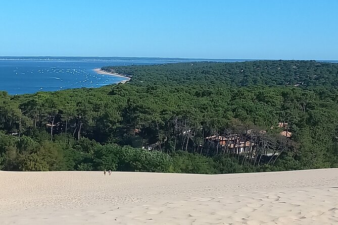 Half Day at the Arcachon Bay and the Dune of Pilat - Savoring Local Delicacies