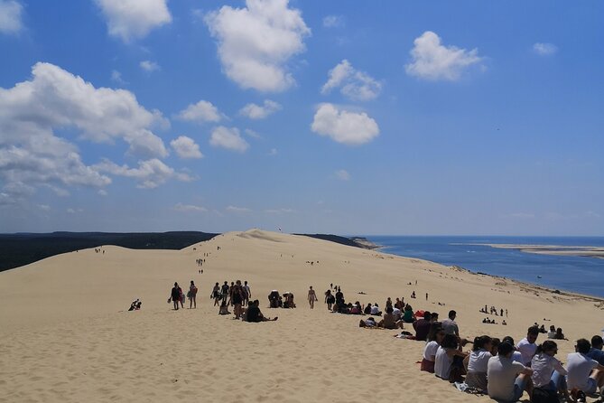 Half Day at the Arcachon Bay and the Dune of Pilat - Drinking in the Views