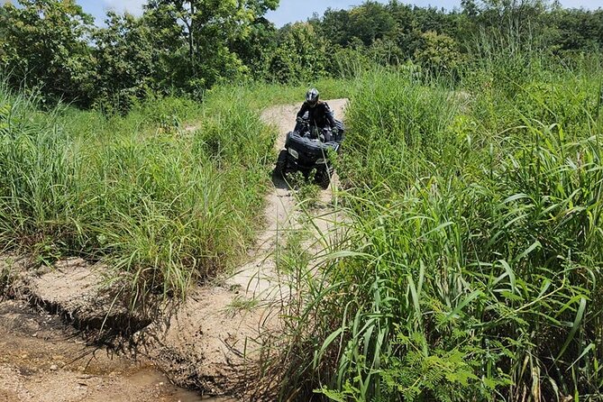 Half-Day ATV Adventure in Chiang Mai With Transfer - Feedback and Recommendations