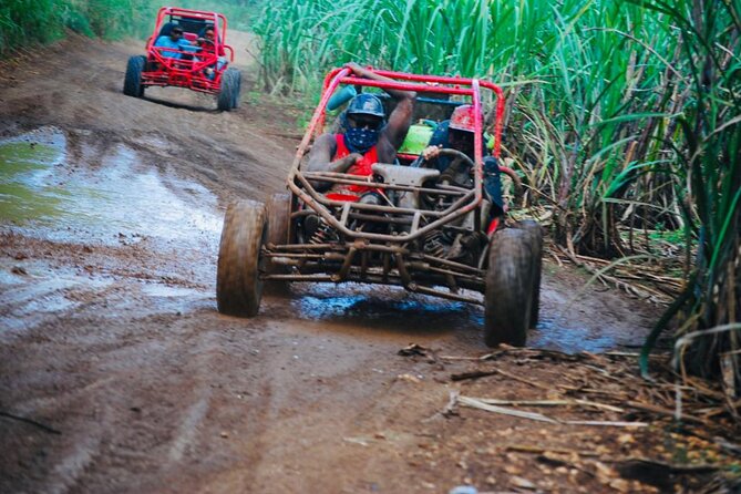 Half-Day ATV or Buggy 4X4 From Bayahibe - La Romana - Common Traveler Experiences