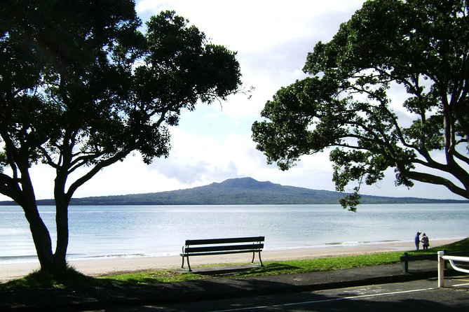 Half-Day Auckland City Guided Tour - Traveler Feedback and Experience