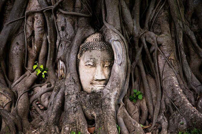 Half-Day Ayutthaya Sunset Bicycle Excursion - Key Points