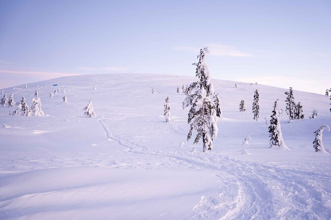 Half-Day Backcountry Skiing Tour in Levi With Photography Guide - Suitable for Various Skill Levels