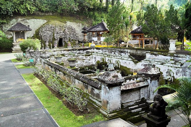 Half Day Bali Tour - Tegalalang Rice Terrace
