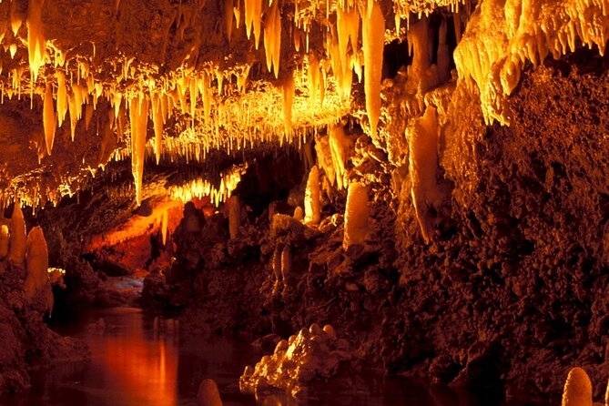 Half-Day Barbados Caves and Critters Tour With Pick up - Pricing and Booking