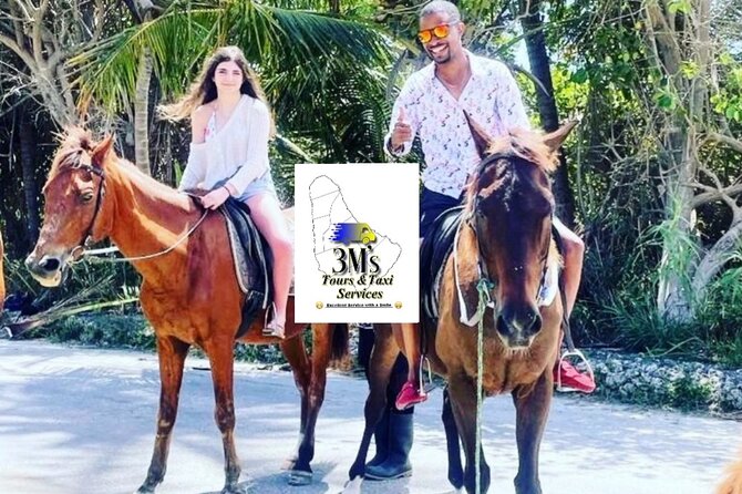 Half-Day Barbados Private Guided Customized Island Tours - Important Considerations