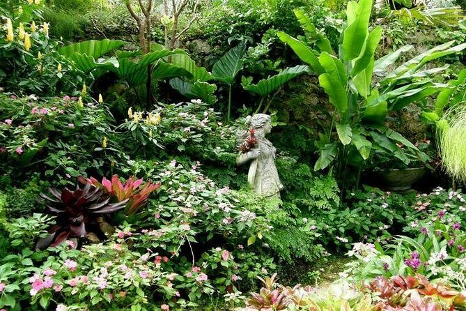 Half-Day Barbados Tour Harrisons Cave Hunte's Garden and Bathsheba - An In-Depth Look at the Tour