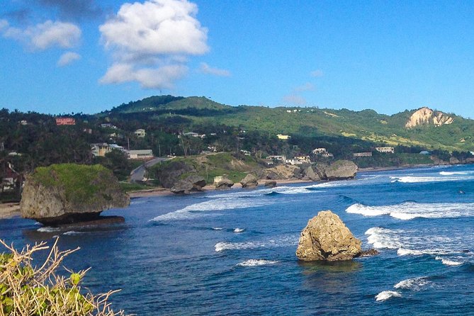 Half-Day Barbados Tour Harrisons Cave Huntes Garden and Bathsheba - Huntes Gardens Exploration