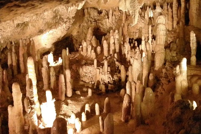 Half-Day Barbados Tour Harrisons Cave Huntes Garden and Bathsheba - Tour Duration and Group Size