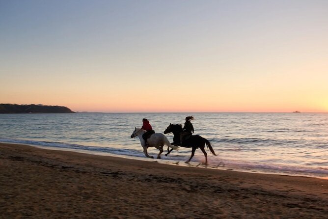 Half-Day Beach Horse Back Riding in Puerto Plata - Tour Overview