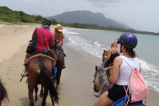 Half-Day Beach Horse Back Riding in Puerto Plata - Activity Details