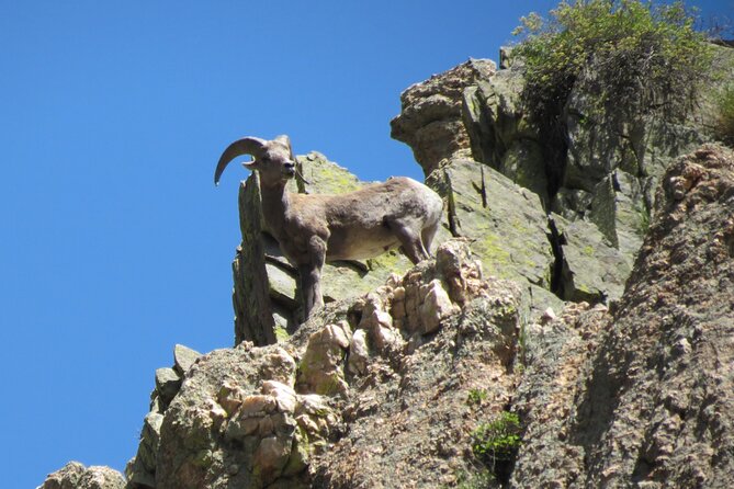 Half Day Beg/Inter Rafting Near Ft Collins - Estes Park - Boulder - Booking and Cancellation