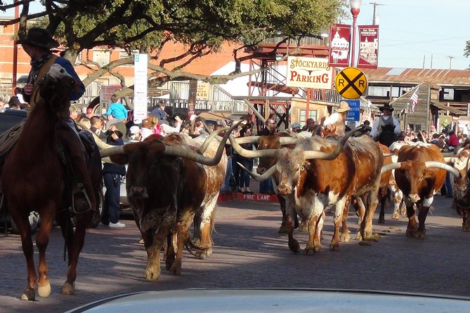 Half-Day Best of Fort Worth Historical Tour With Transportation From Dallas - Included Features