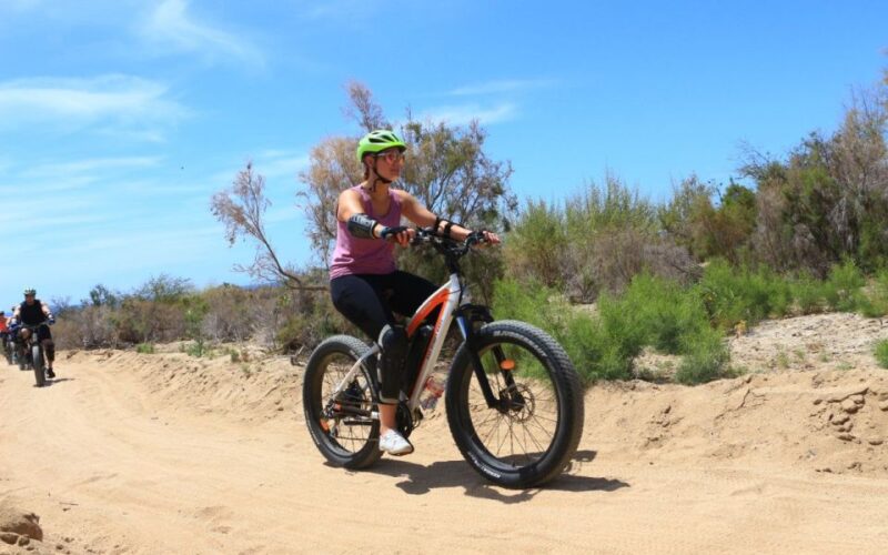 Half-Day Bicycle Tour by Baja California Desert - Key Points