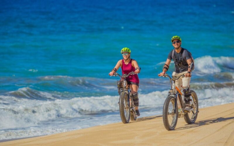 Half-Day Bicycle Tour by Baja California Desert - Experience Highlights