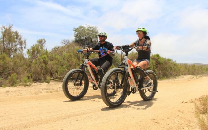 Half-Day Bicycle Tour by Baja California Desert - Frequently Asked Questions