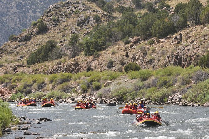 Half Day Bighorn Sheep Canyon (FREE Lunch, Photos, and Wetsuit) - Key Points