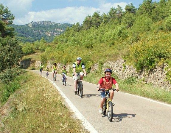 Half-Day Bike Tour From Salou - Experience and Highlights