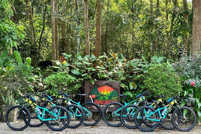 Half-Day Bike Tour in Angkor Park Review - Start Time