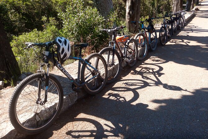 Half-Day Bike Tour in Lumbarda With Wine Tasting - Itinerary and Activities