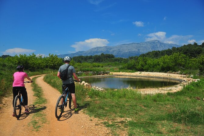 Half-Day Bike Tour in Lumbarda With Wine Tasting - Meeting Information