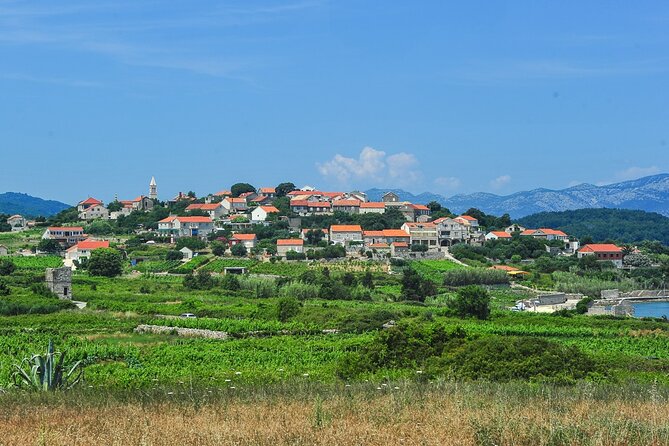 Half-Day Bike Tour in Lumbarda With Wine Tasting - Tour Logistics