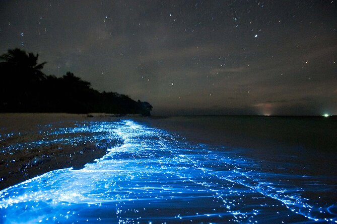 Half Day Bioluminescent Boat and Starfish Beach Tour in Grand Cayman - Booking Your Stay
