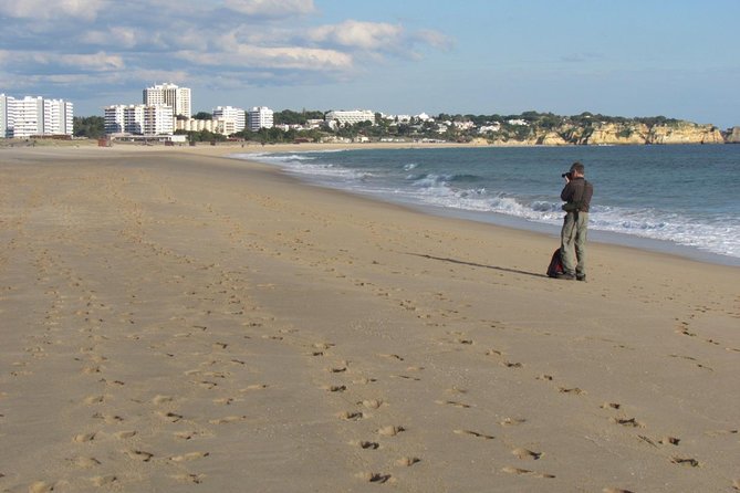 Half-Day Birdwatching at Alvor Dunes - Accessibility and Participation