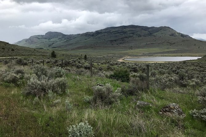 Half Day Birdwatching in the South Okanagan - Habitats and Ecosystems