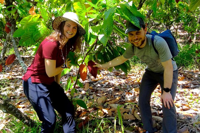 Half Day Bliss Cacao Farm Adventure & Guayaquil City Highlights - Hands-on Chocolate-making Experience